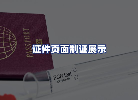 证件页面制证展示